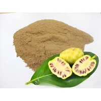 Noni Extract 101, 40% Saponin