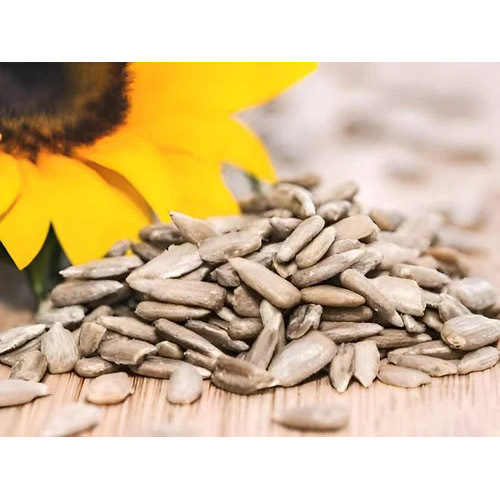 Sunflower Seed Powder