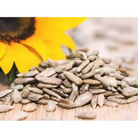 Sunflower Seed Powder