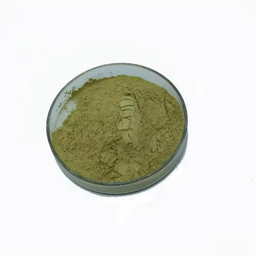 Moringa Extract Powder