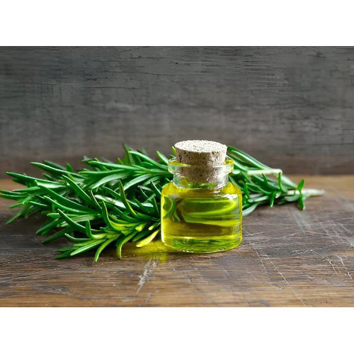 Calamus Essential Oil