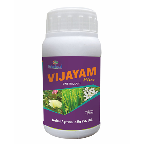 Vijayam Plus growth flowering