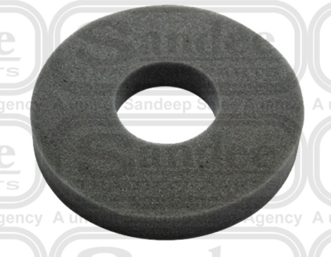 Precleaner Foam Eicher