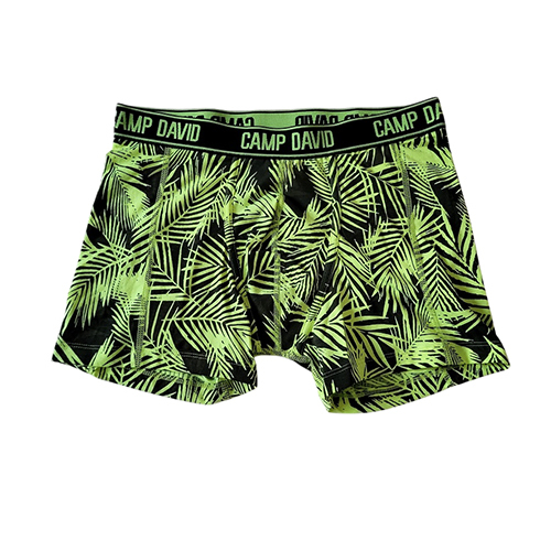 Mens Printed Boxer