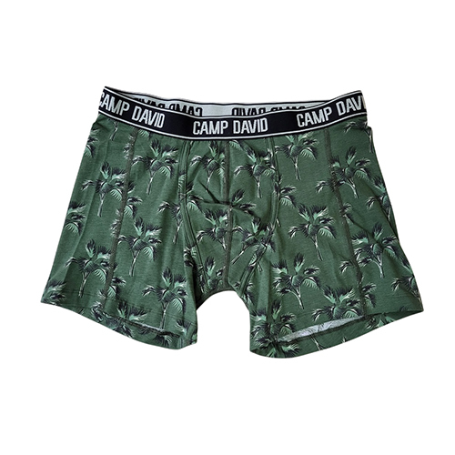 Mens Printed Boxer