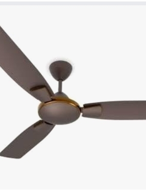 Ceiling fan spair