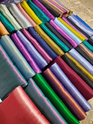 Tissue Saree - Occasion: Party Wear