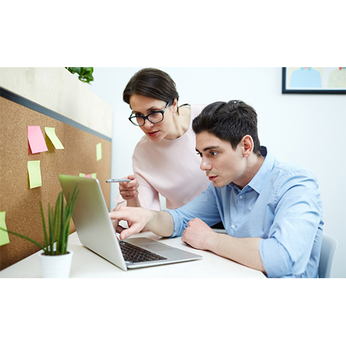 ERP Integration And Customization Services