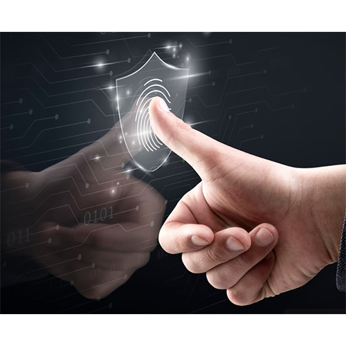 Virtual CISO Services