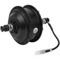 Electric Vehicle Hub Motor - Color: Black