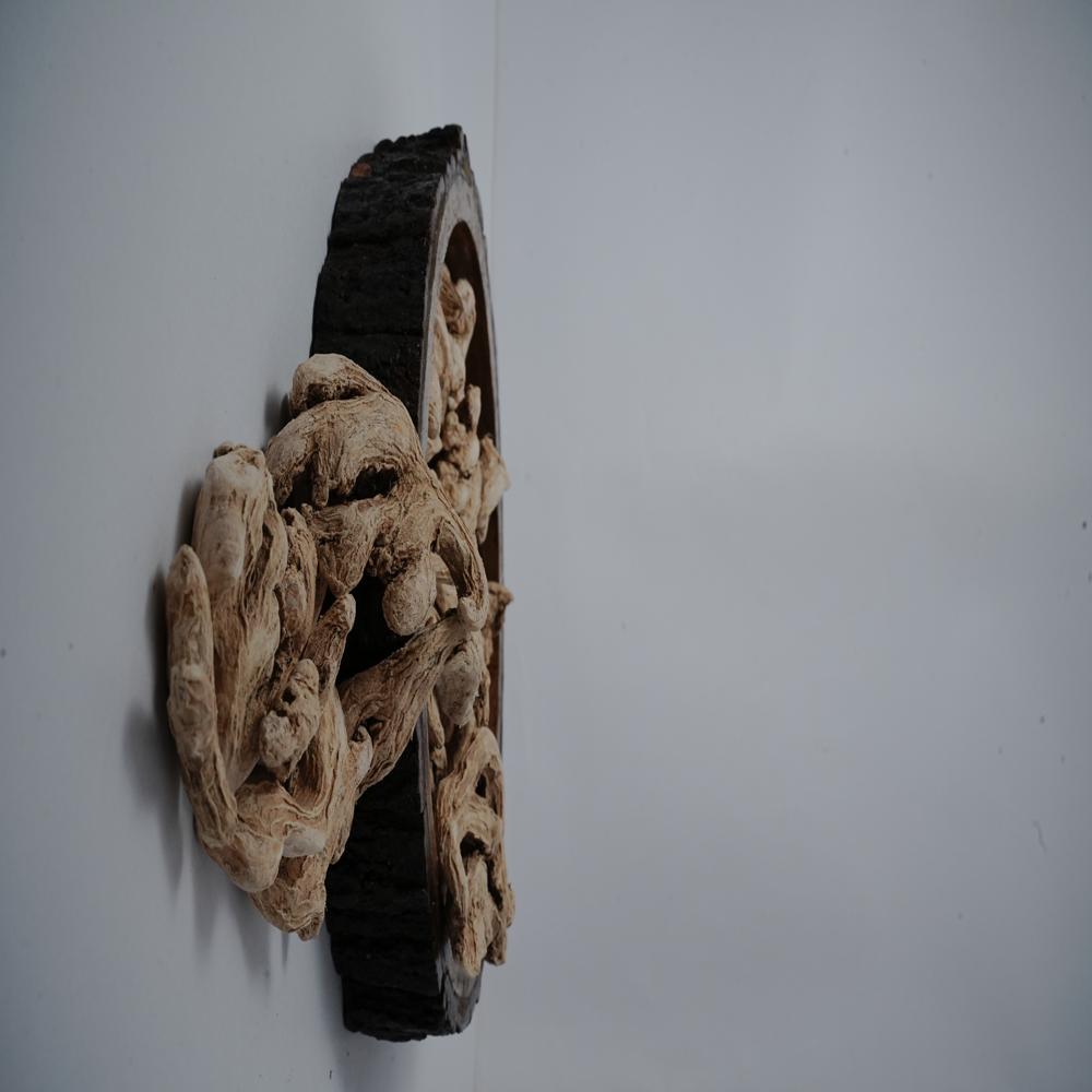 Whole Dry Ginger- Himachal