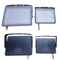 LED Flood Light