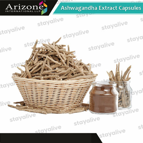 Ashwagandha Extract Capsules