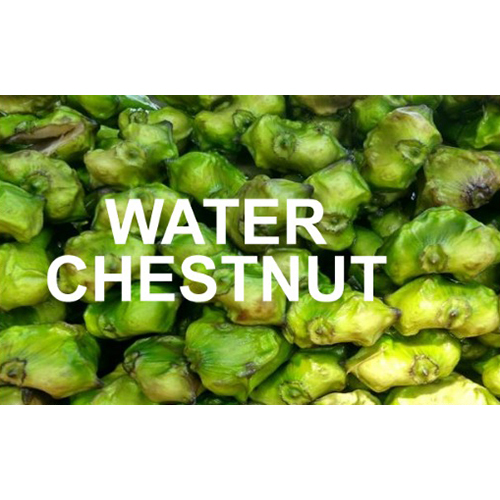 Water Chestnut - Cultivation Type: Common