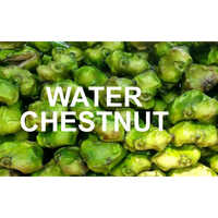 Water Chestnut