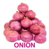 Red Onion