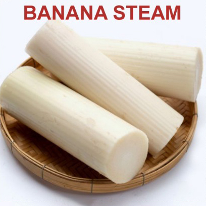 Banana Stem - Moisture (%): 5% - 10%