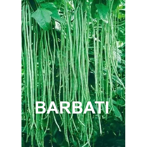 बारबती (लुबिया)