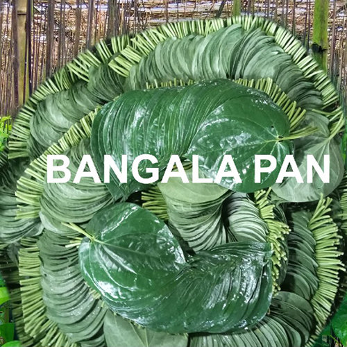 03_बंगला पान