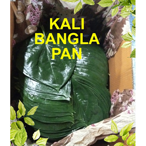 01_काली बंगला पान