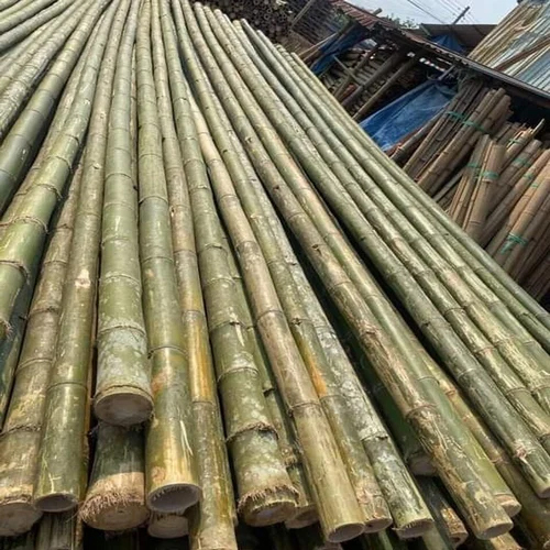 Bamboo Pole