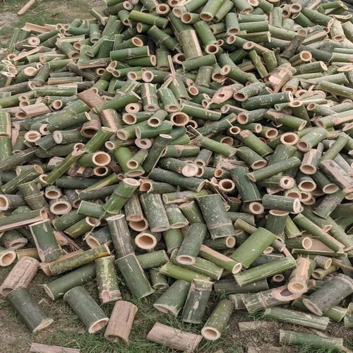 Bamboo Cut Piece