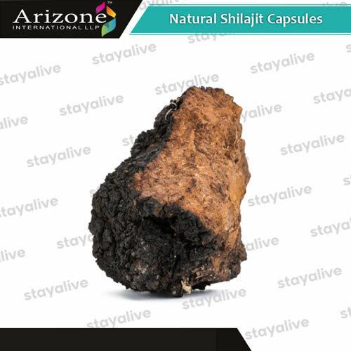 Natural Shilajit Capsules