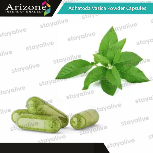 Adhatoda Vasica Powder Capsules