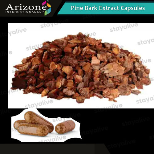 Pine Bark Extract Capsules - Age Group: For Adults