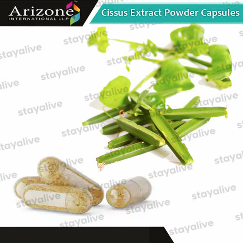 Cissus Extract Powder Capsules - Age Group: For Adults