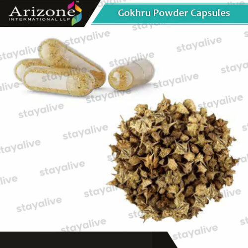 Gokhru Powder Capsules
