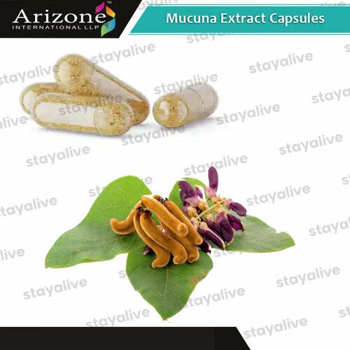 Mucuna Extract Capsules - Age Group: For Adults