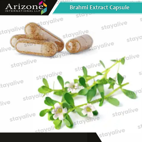 Brahmi Extract Capsule