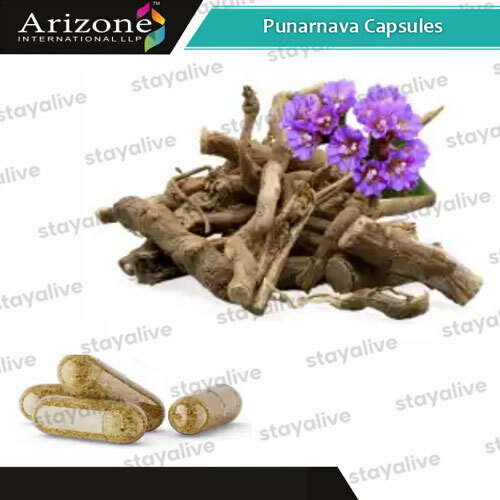 Punarnava Capsules - Age Group: For Adults