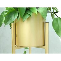 Metal Indoor Planter set