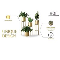 Metal Indoor Planter set