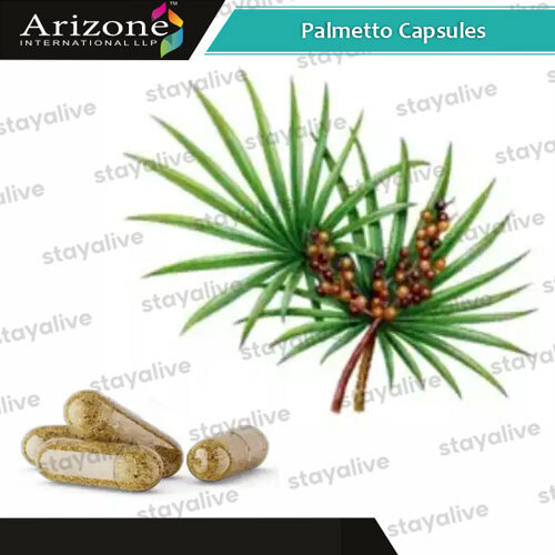Palmetto Capsules