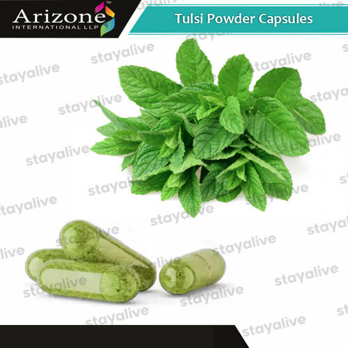 Tulsi Powder Capsules