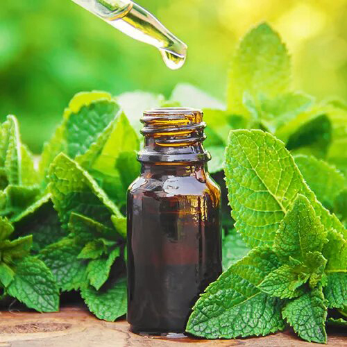 Peppermint Oil - 100% Pure Liquid Extract | Versatile for Aromatherapy, Skincare & Wellness, Insoluble in Water, Safe for All Ages