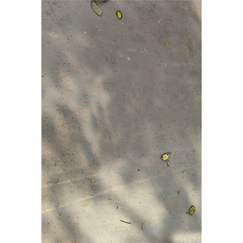 Steel Plate