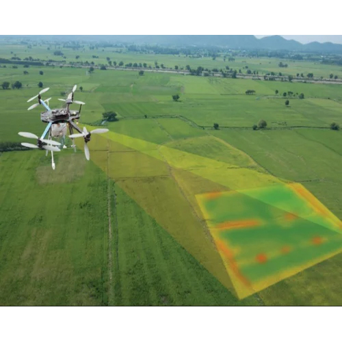 Aerial Survey