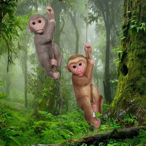 Hanging Monkeys