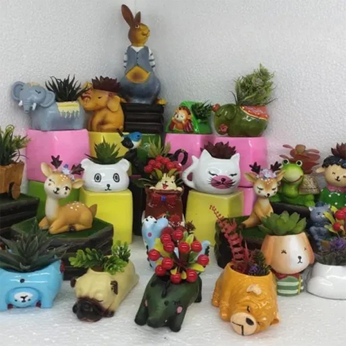 Ferral Animals