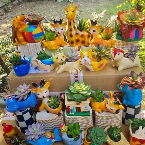Giraffe Family Surrounded