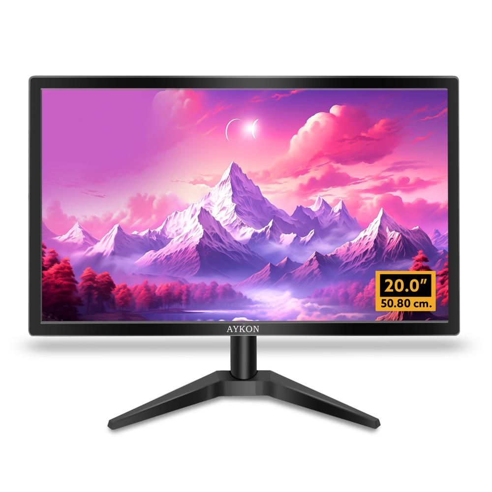 20'' Monitor 
