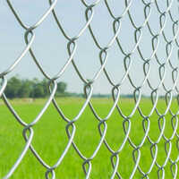 Chain Link Fencing Wire Mesh