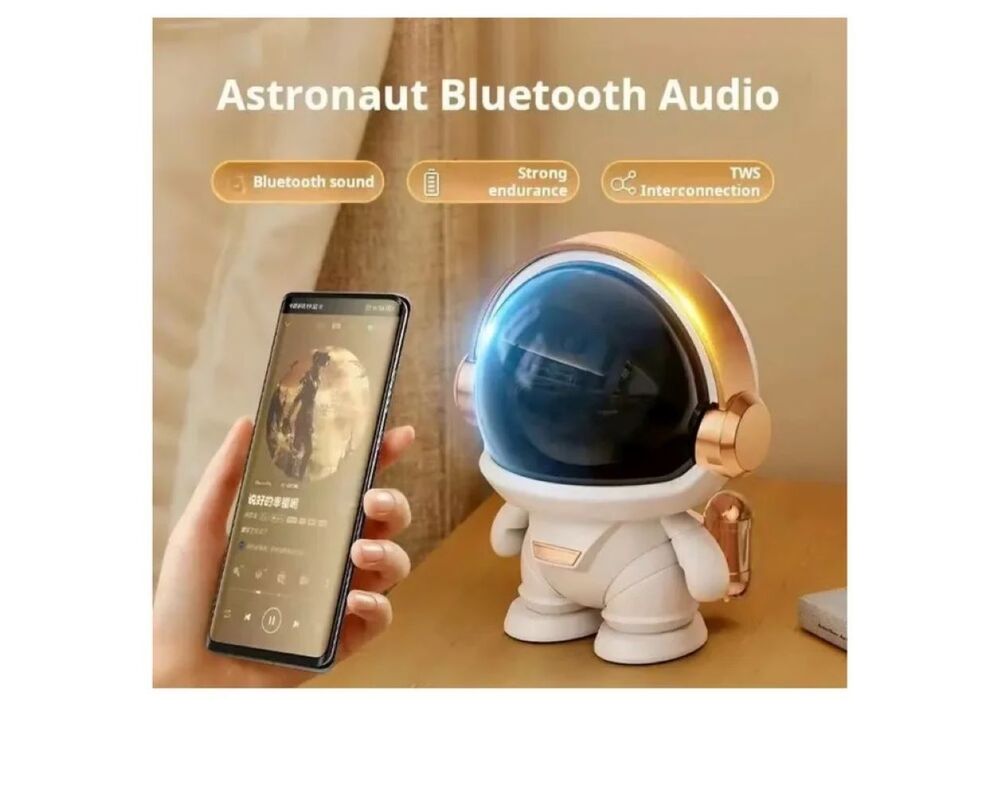 LN-808 Bluetooth Speaker
