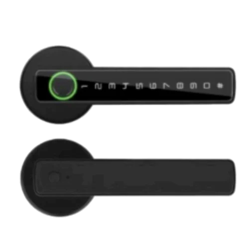 Biometric Handle Door Lock