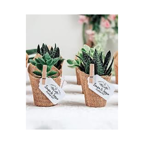 Return Gifts - Color: Multicolor
