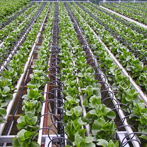Drip Irrigation System
